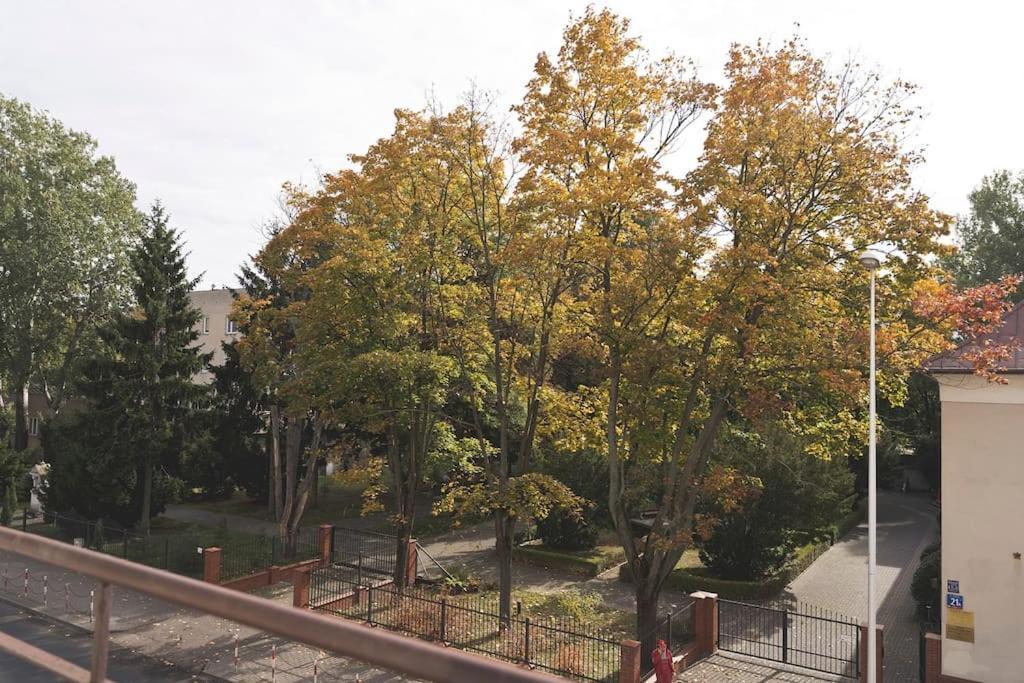 Apartament Will - In The Heart Of *